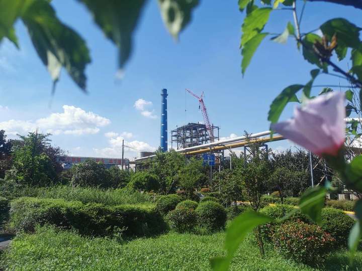 ��ͩ���¡��P�ˡ���