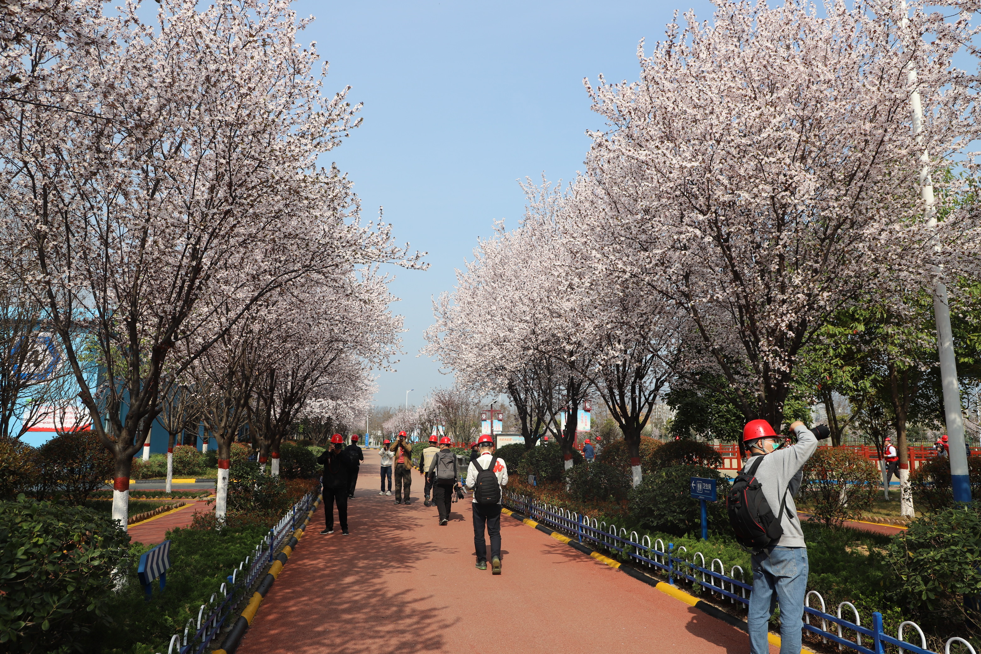 第九屆全國職工攝影展漢中采風團到公司開展企業采風活動