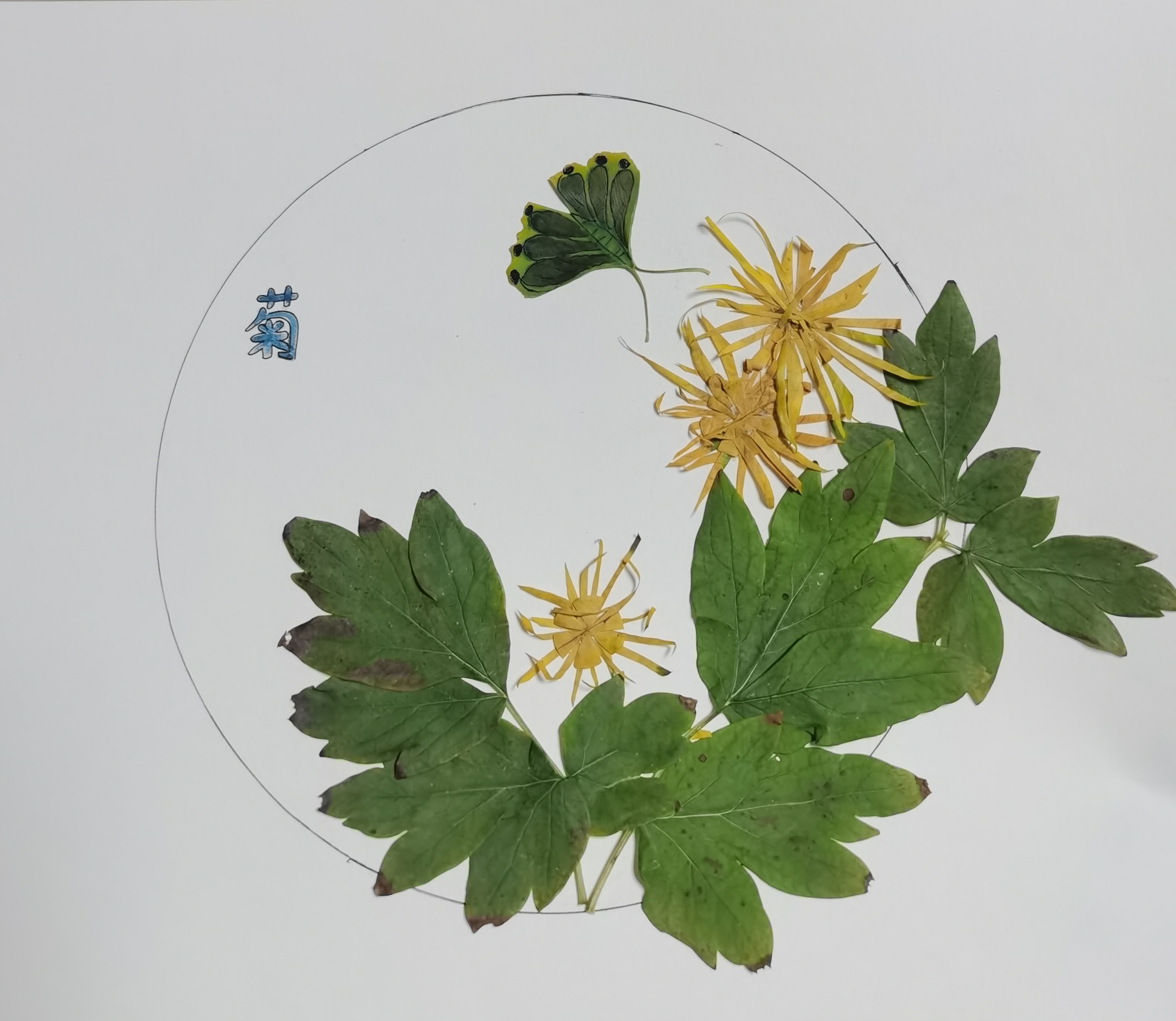 樹葉畫“廉潔” 清風(fēng)潤心田 樹葉畫“廉潔” 清風(fēng)潤心田