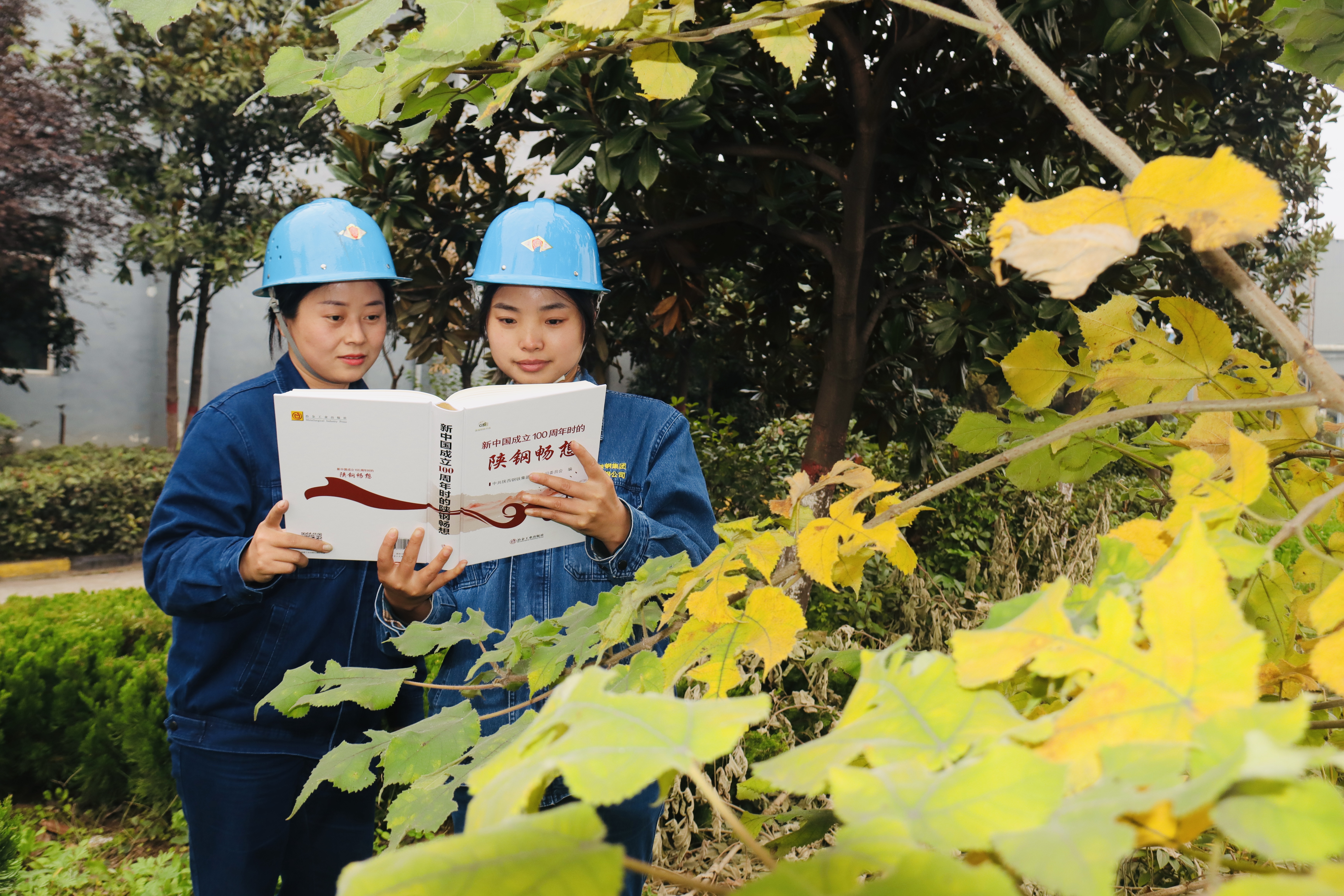 “團”聚青春力量，積蓄企業發展“青”動能