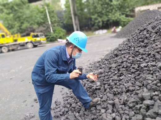 持正守廉“準繩” 精準量樹“權威”