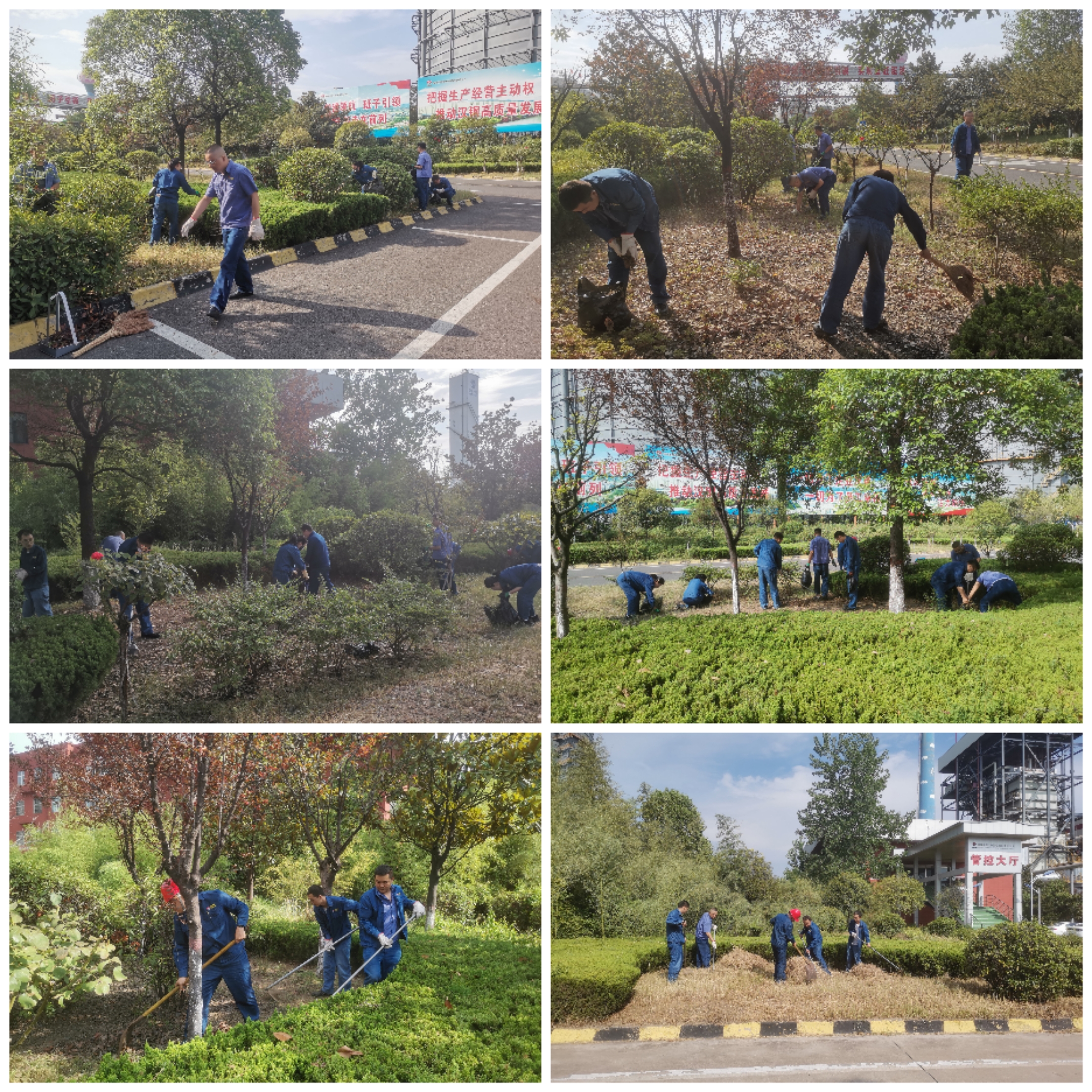 多措并舉忙護綠 齊抓共管促提升 多措并舉忙護綠 齊抓共管促提升
