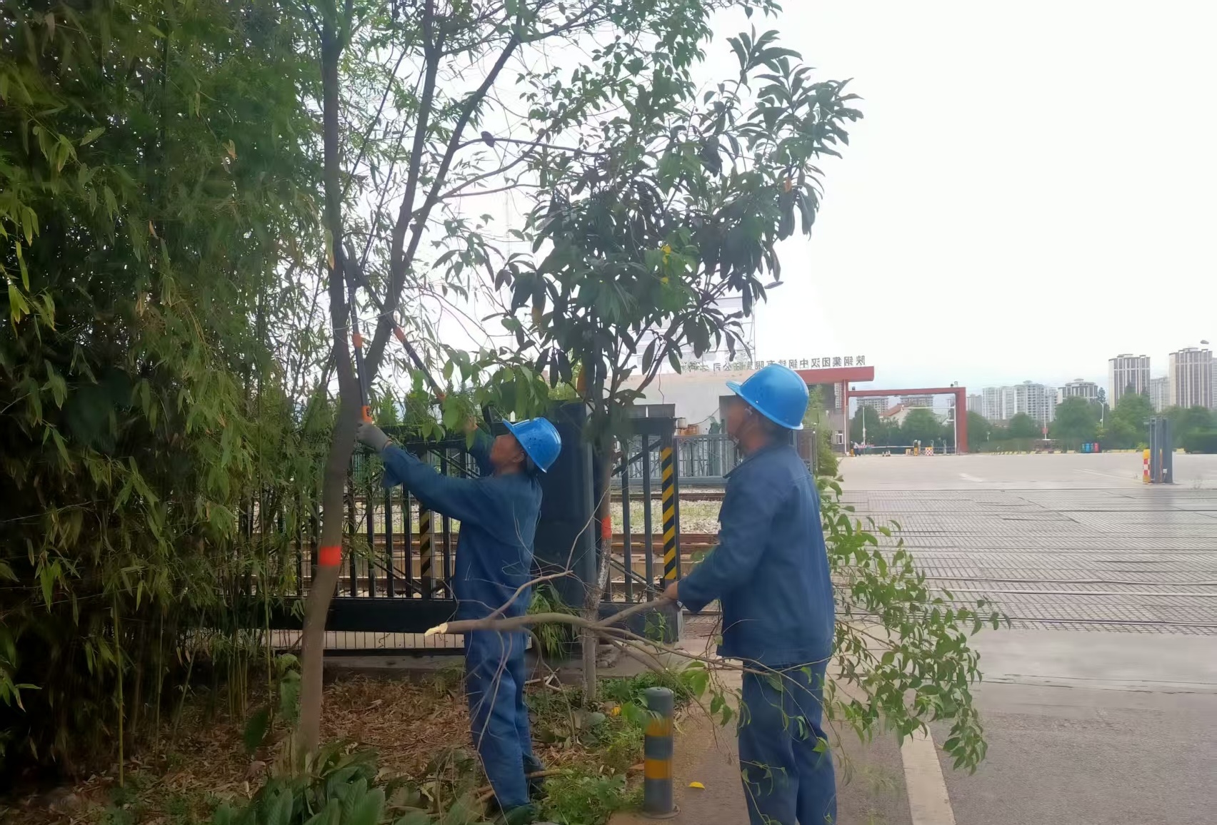 明責任強溝通 守護綠色鋼城 明責任強溝通 守護綠色鋼城