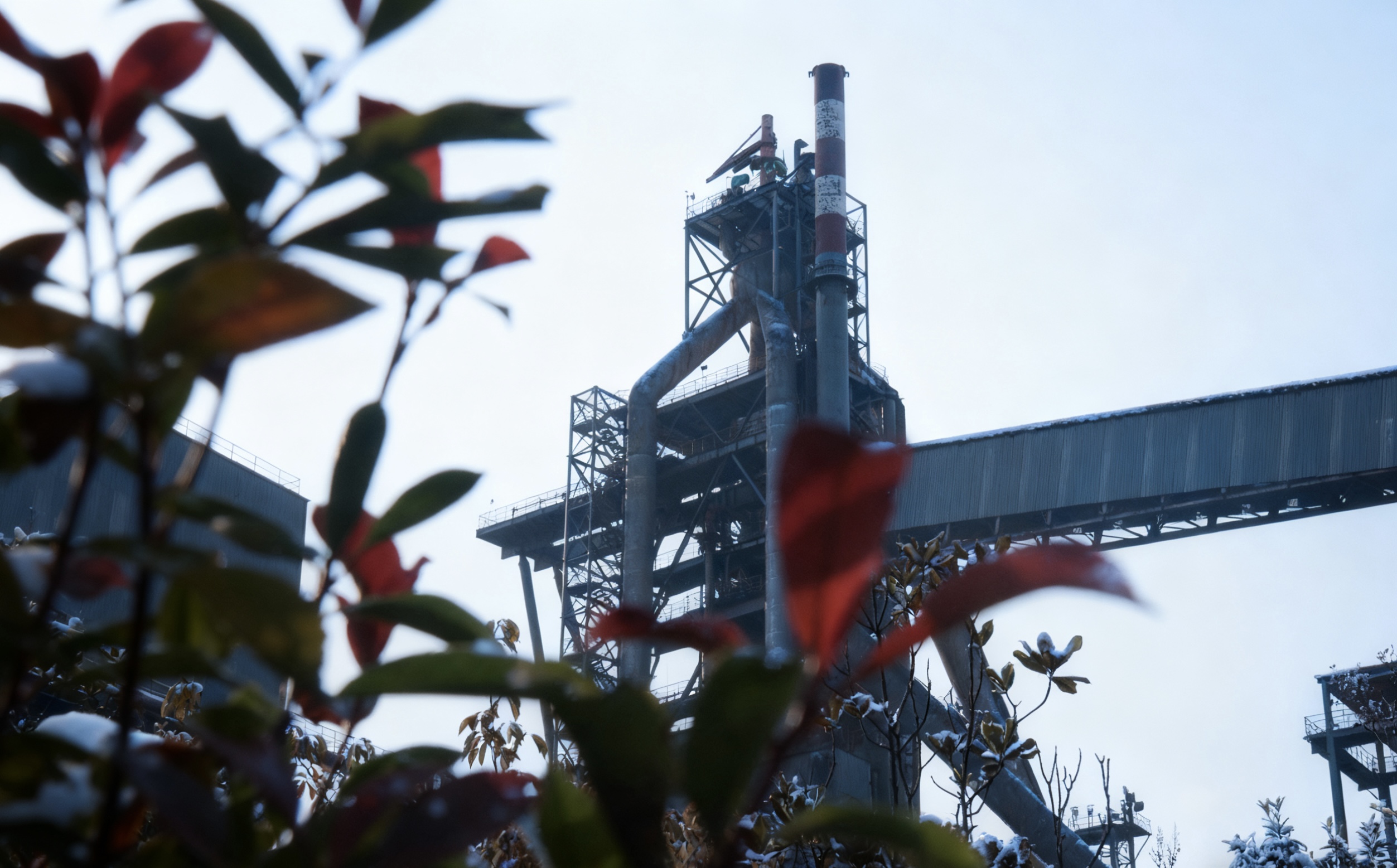 䓳ǳ����Ľ��