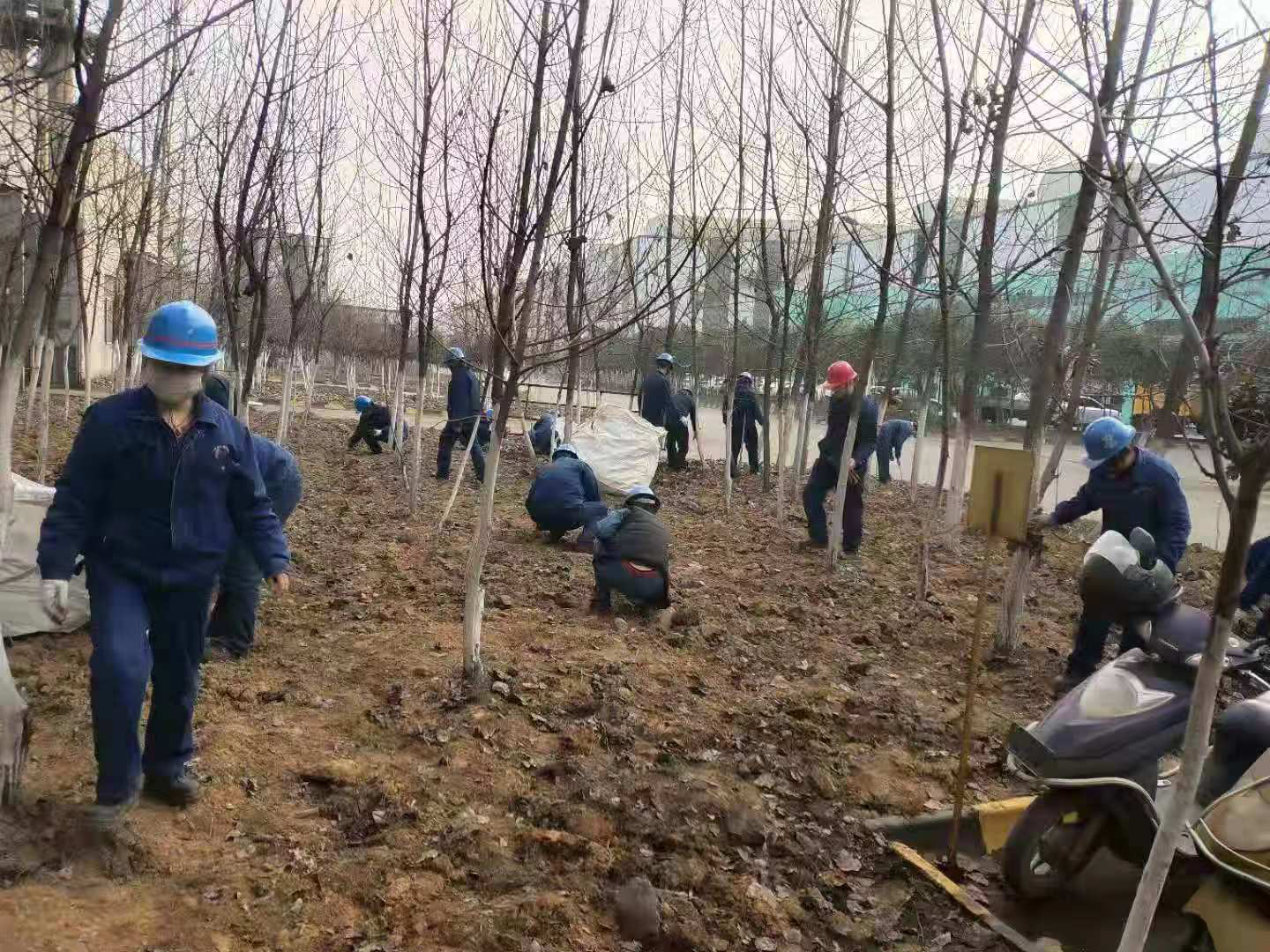 �������h䓡�׌�T���ھGɫ�ͷ��������ࡪ���䓼��F�h䓹�˾�M���۾G�o�G���