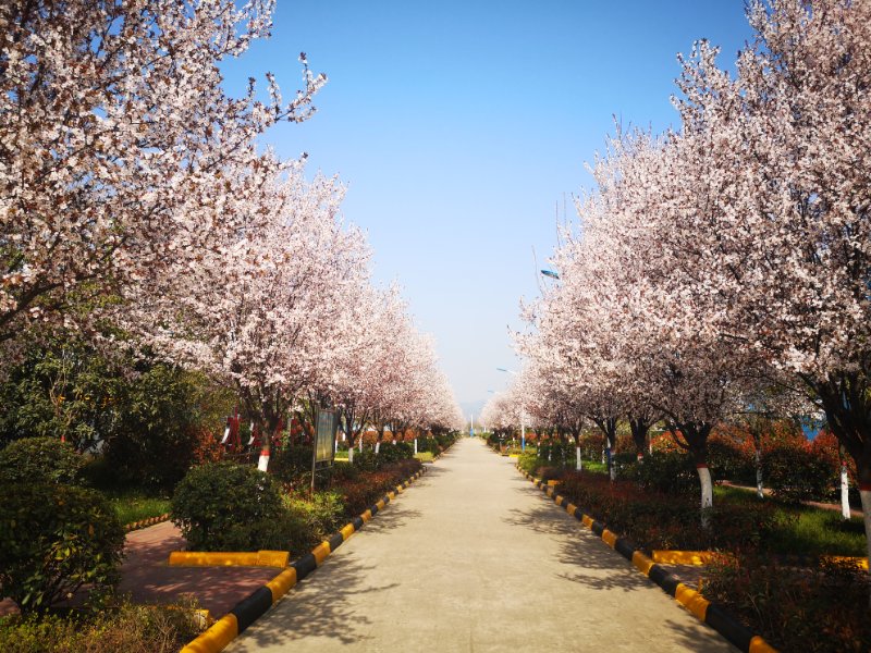 �������h䓡������ˣ�һ�𵽝h䓁�(l��i)�p����