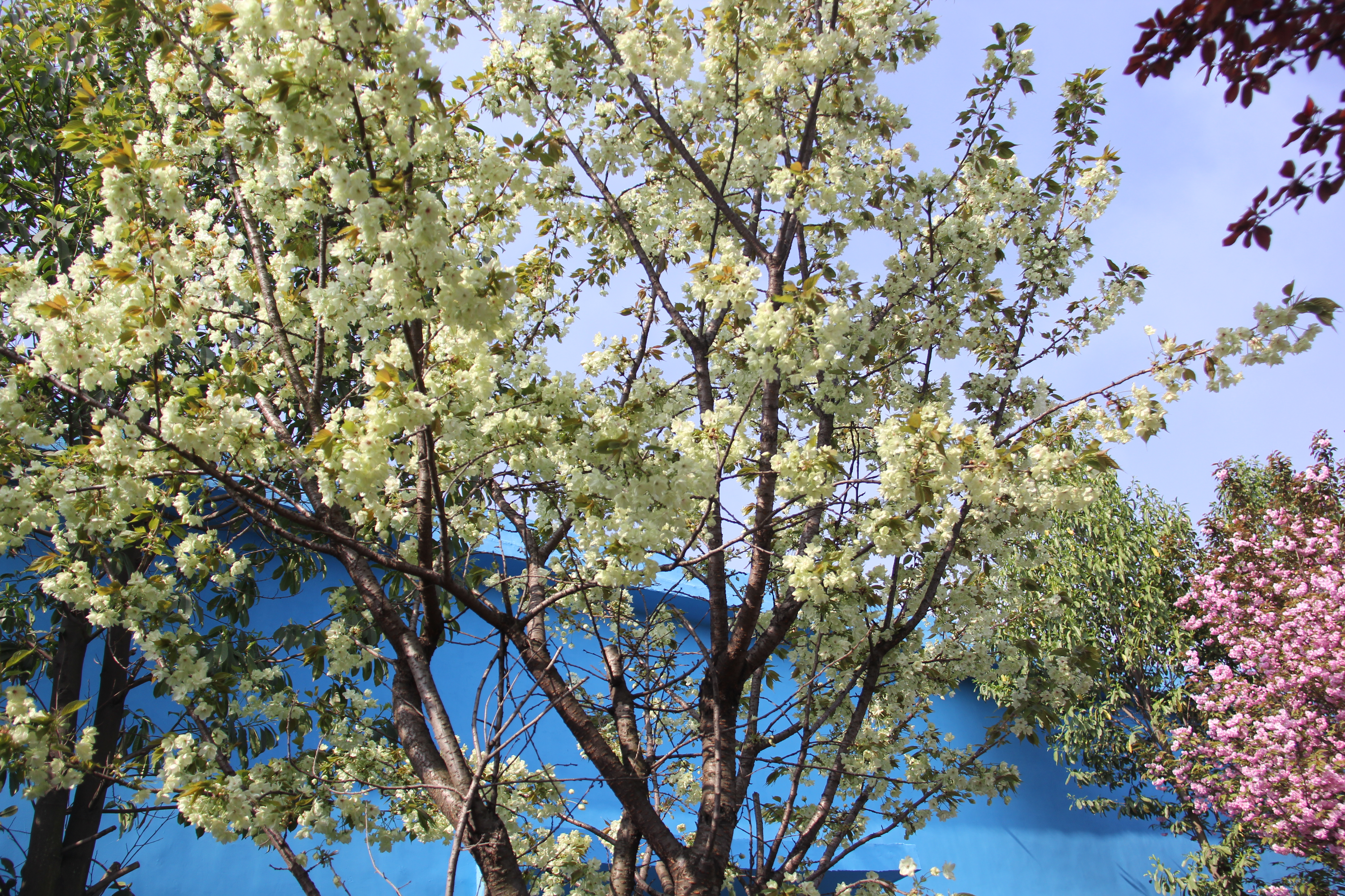 �������h䓡������ˣ�һ�𵽝h�̤���^���ɣ�