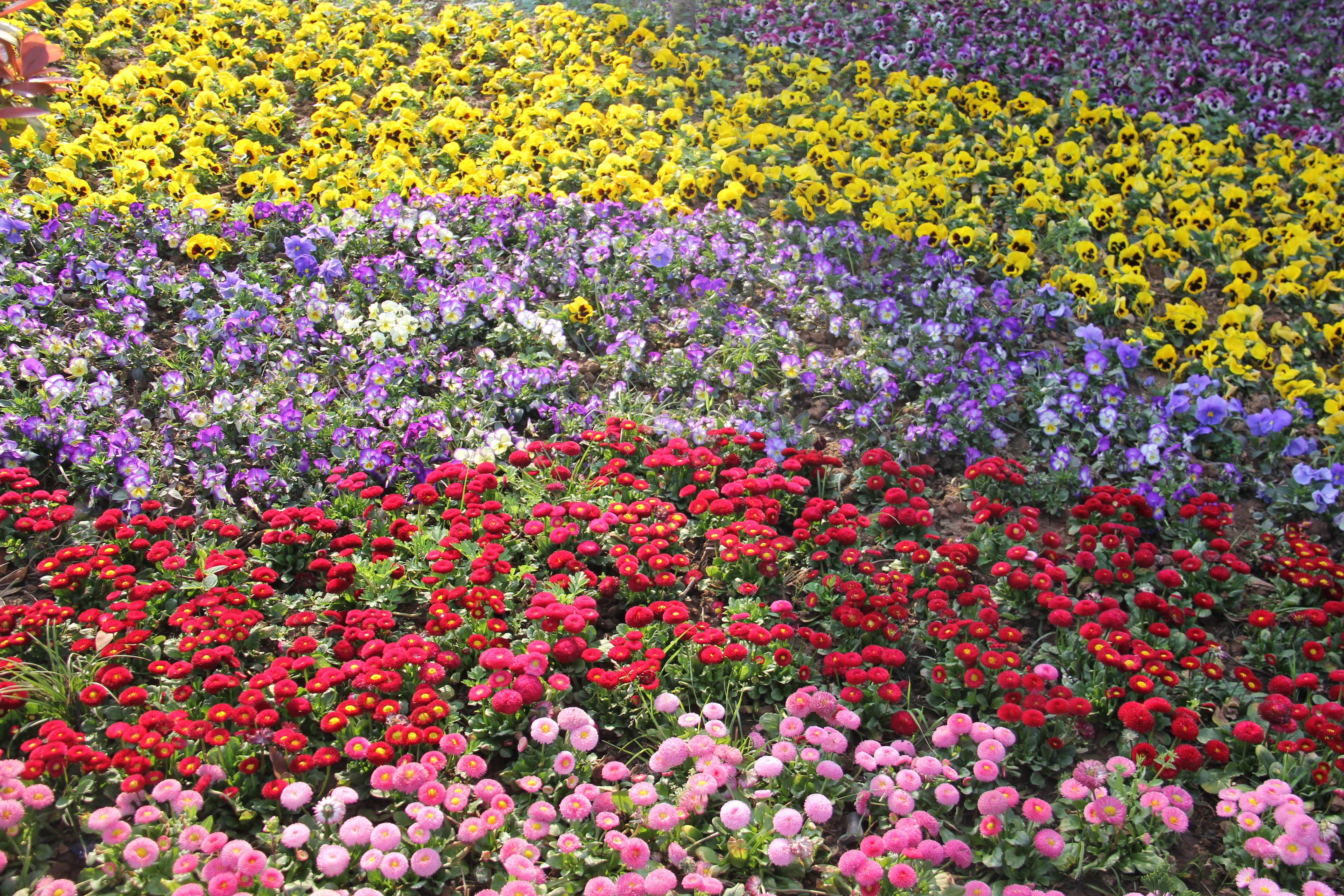 �������h䓡������ˣ�һ�𵽝h�̤���^���ɣ�