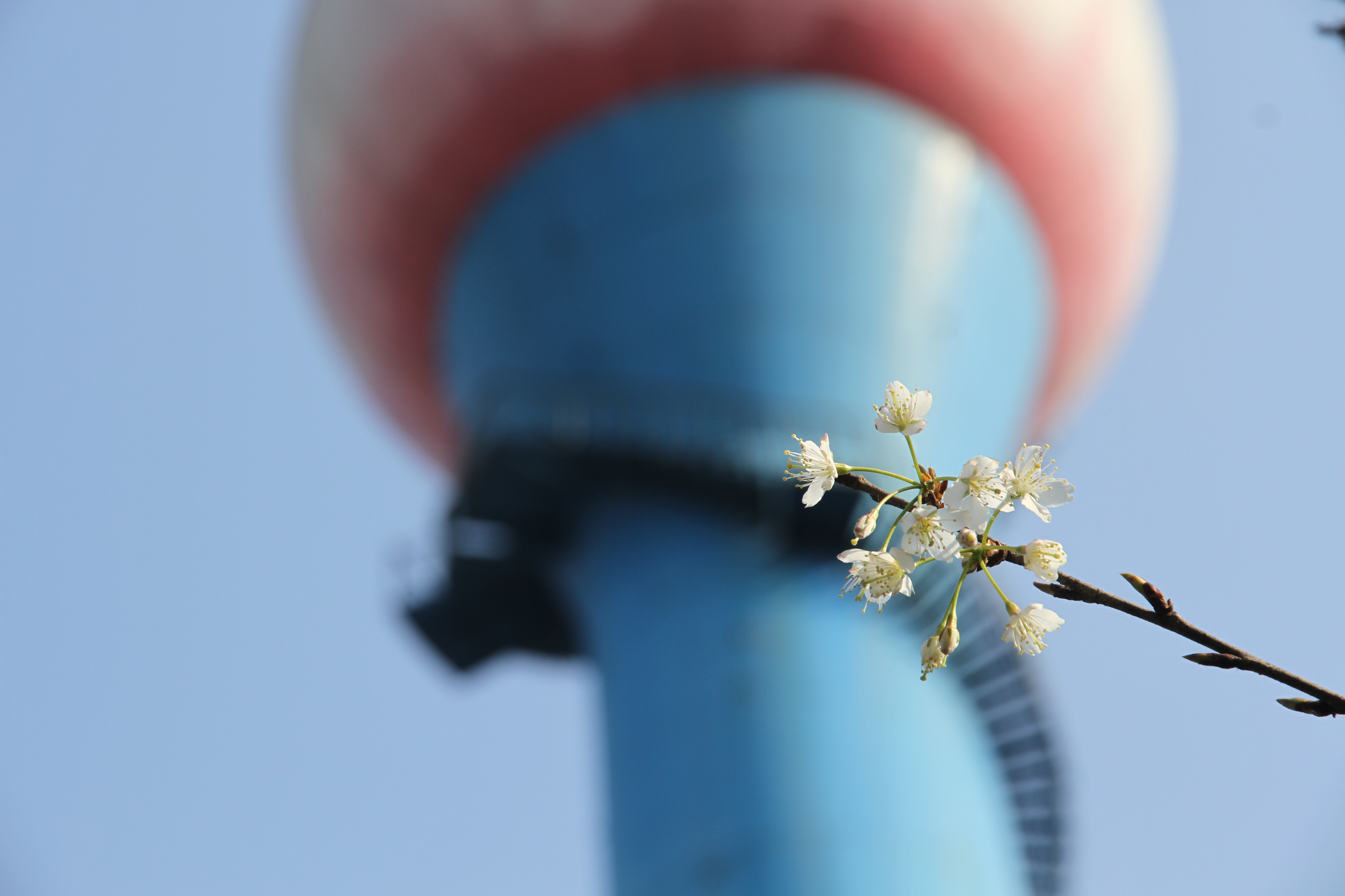 �������h䓡����M䓳ǣ�Ը����ʎ��