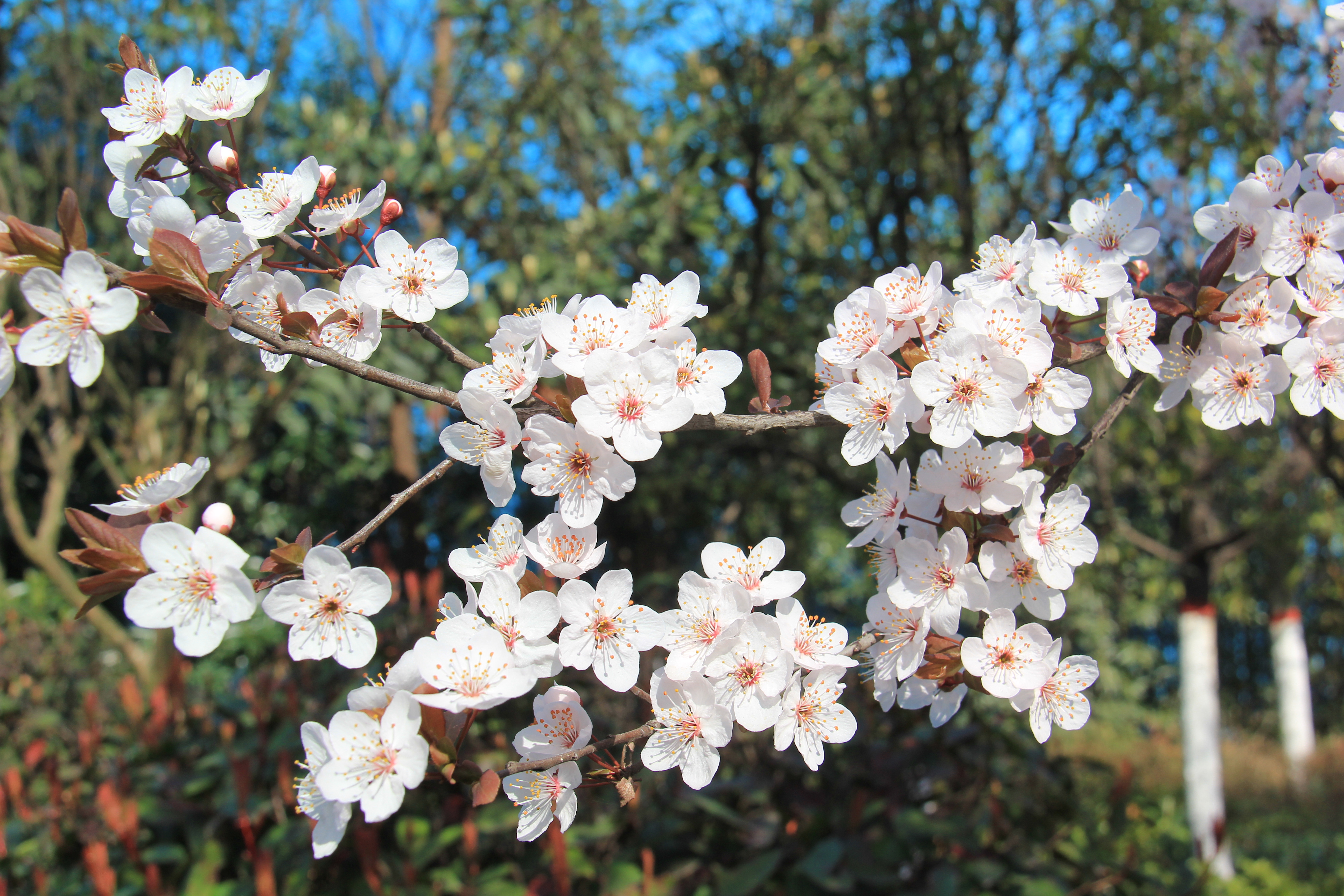 �������h䓡��������ݴ����  䓳����´��箋