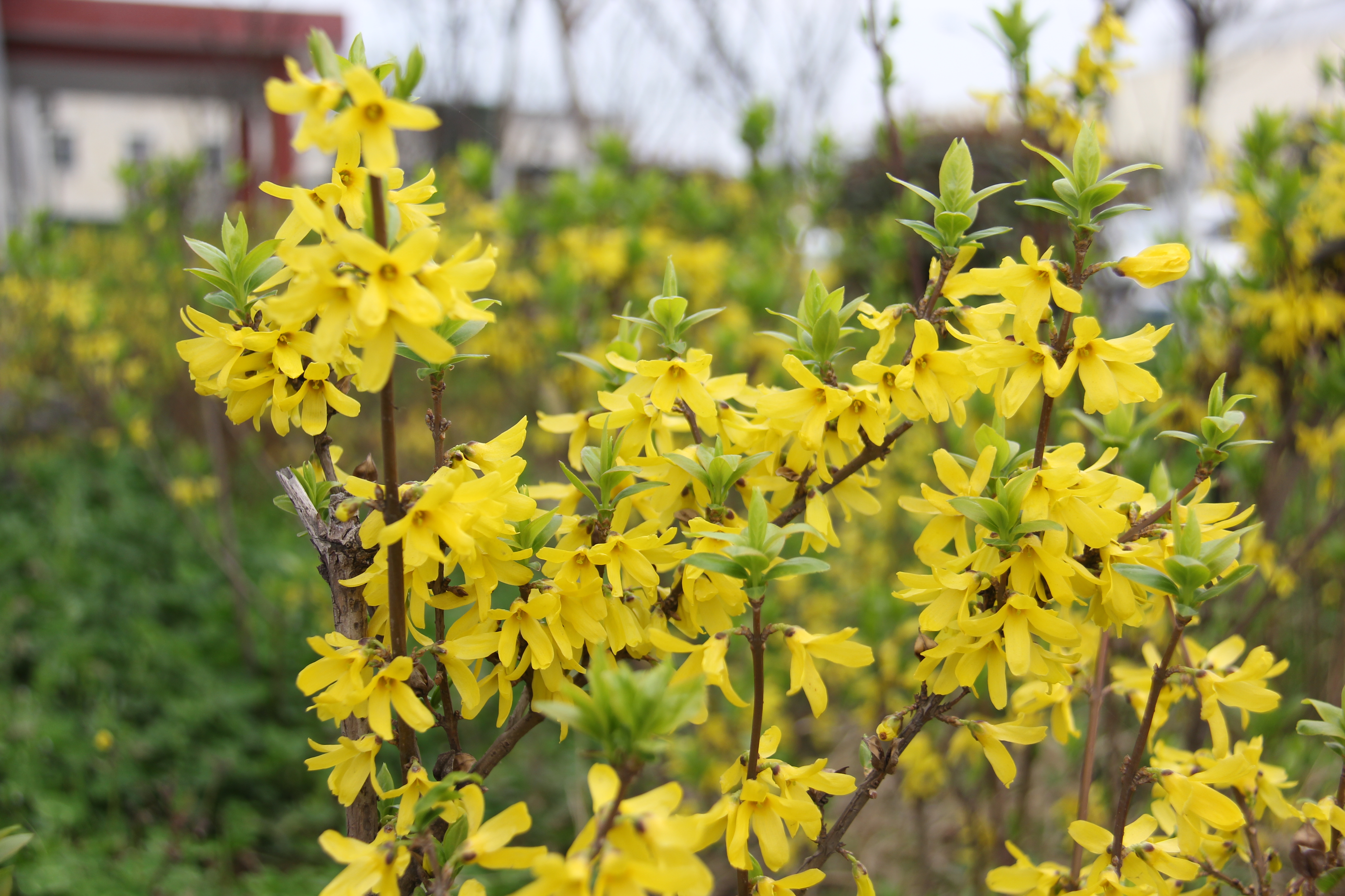 �������h䓡��������ݴ����  䓳����´��箋