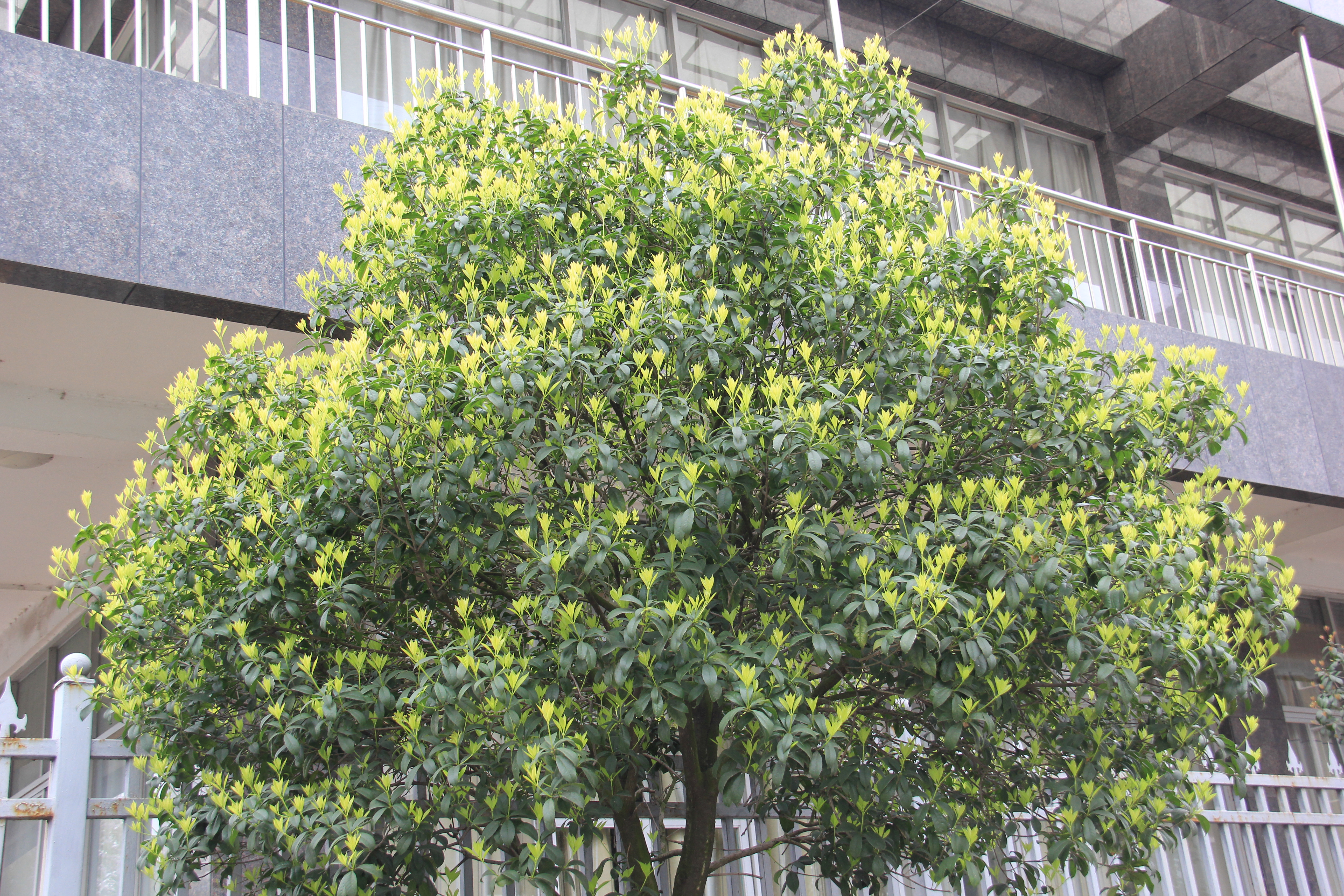 �������h䓡��������ݴ����  䓳����´��箋