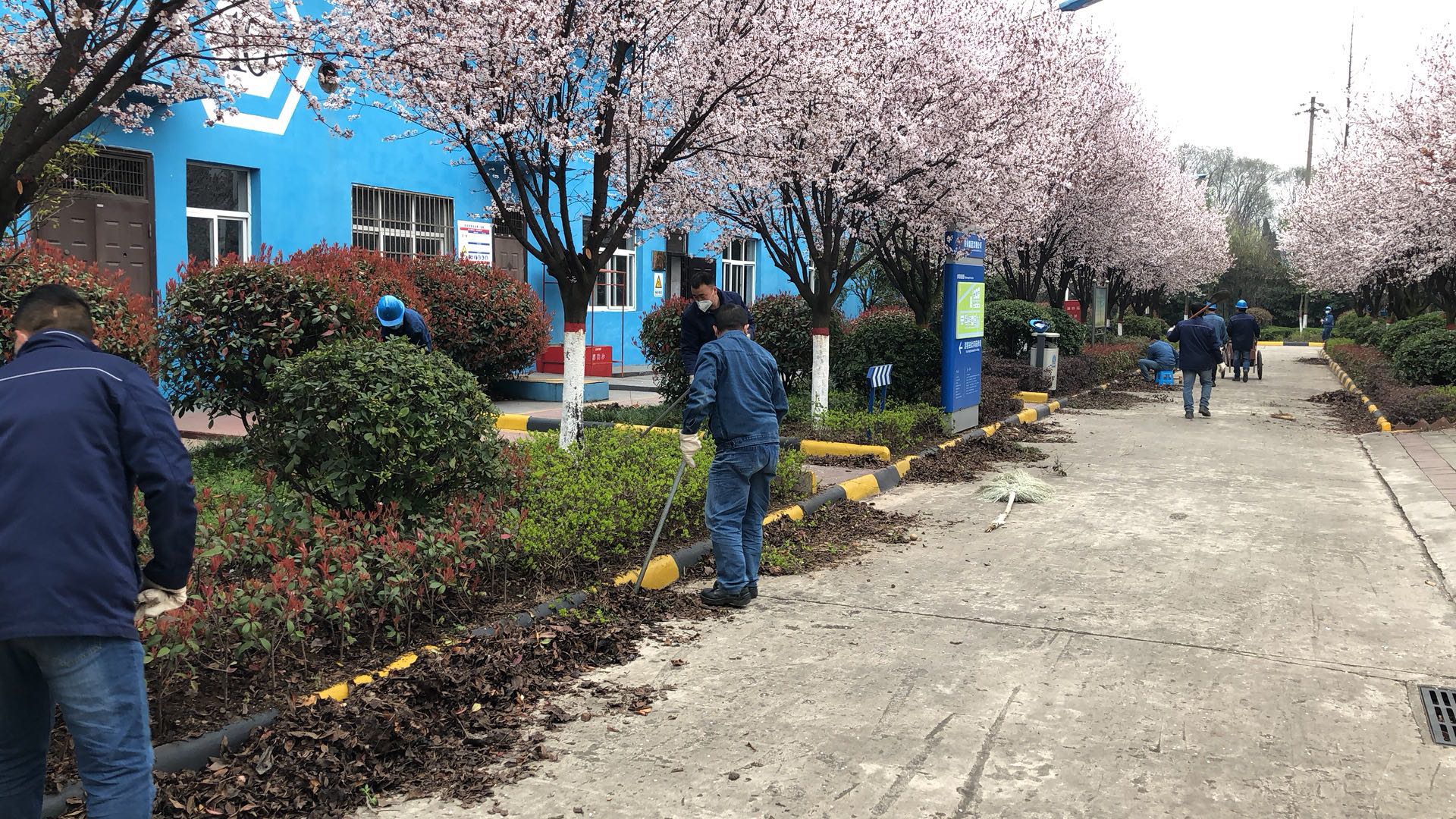 �������h䓡���˾�����G�����������_(k��i)չ�����ݱ