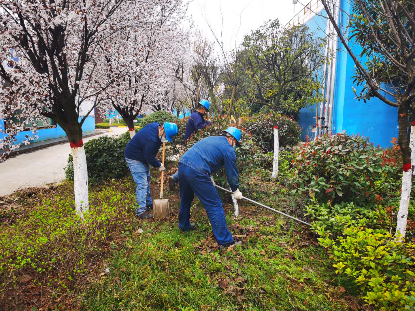 �������h䓡���˾�����G�����������_(k��i)չ�����ݱ