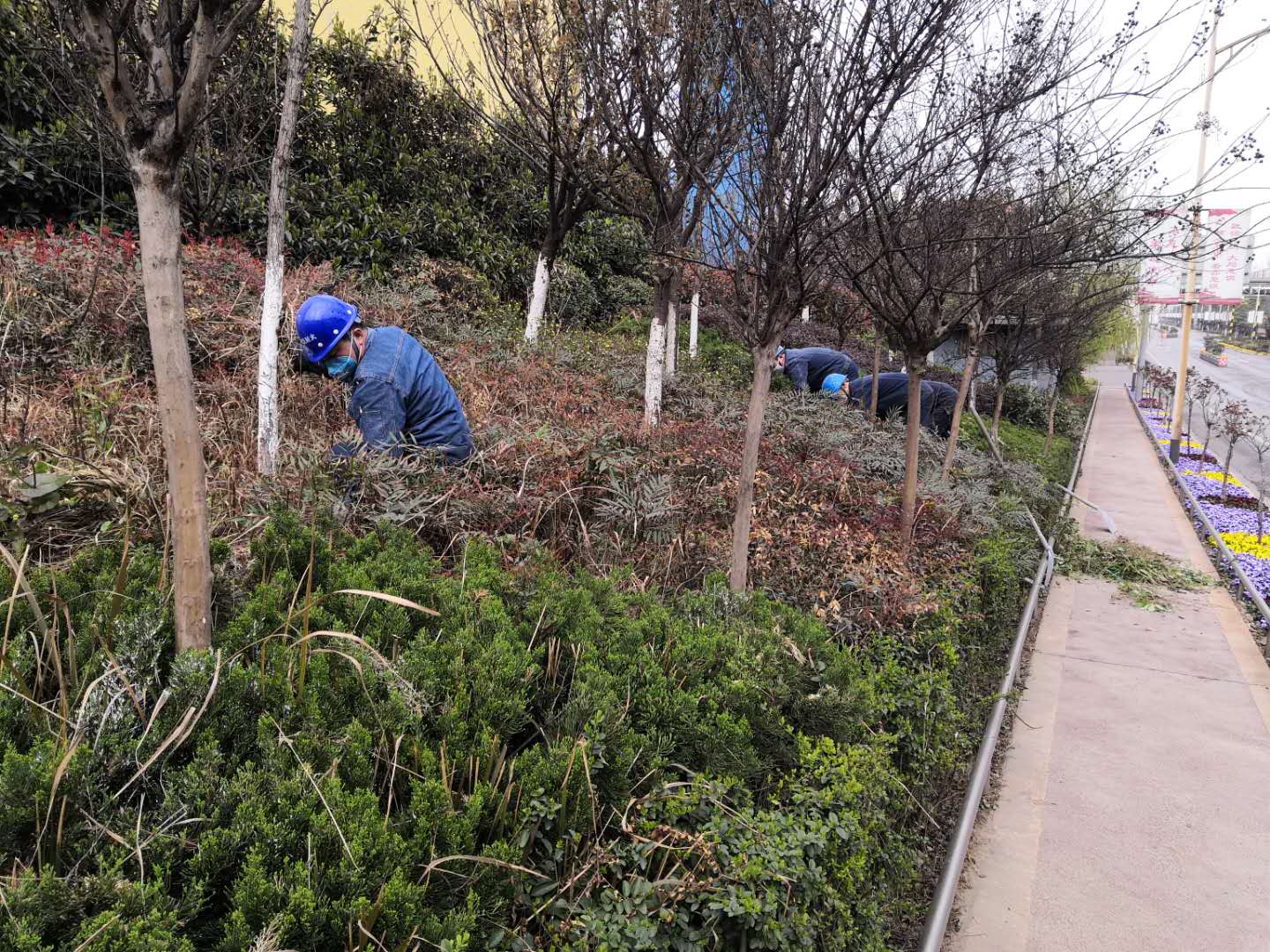 �������h䓡���˾�����G�����������_(k��i)չ�����ݱ