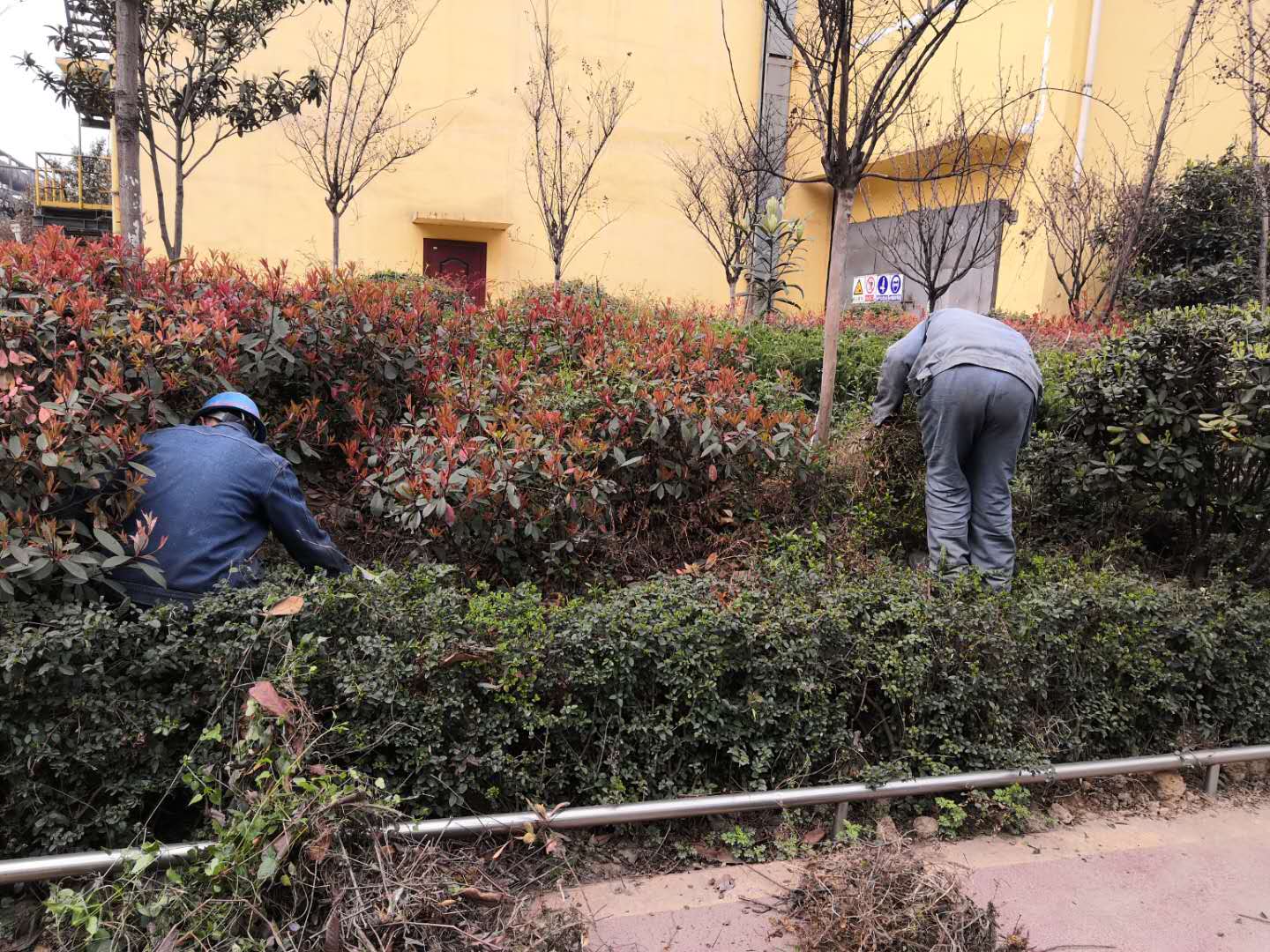 �������h䓡���˾�����G�����������_(k��i)չ�����ݱ