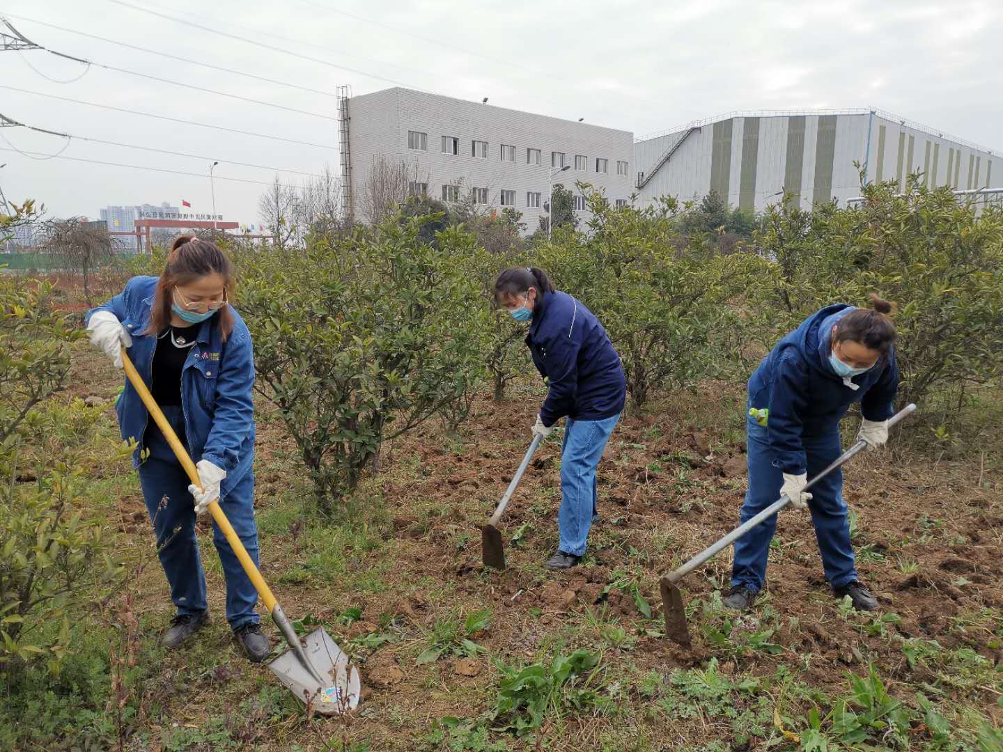 �������h䓡���˾�����G�����������_(k��i)չ�����ݱ