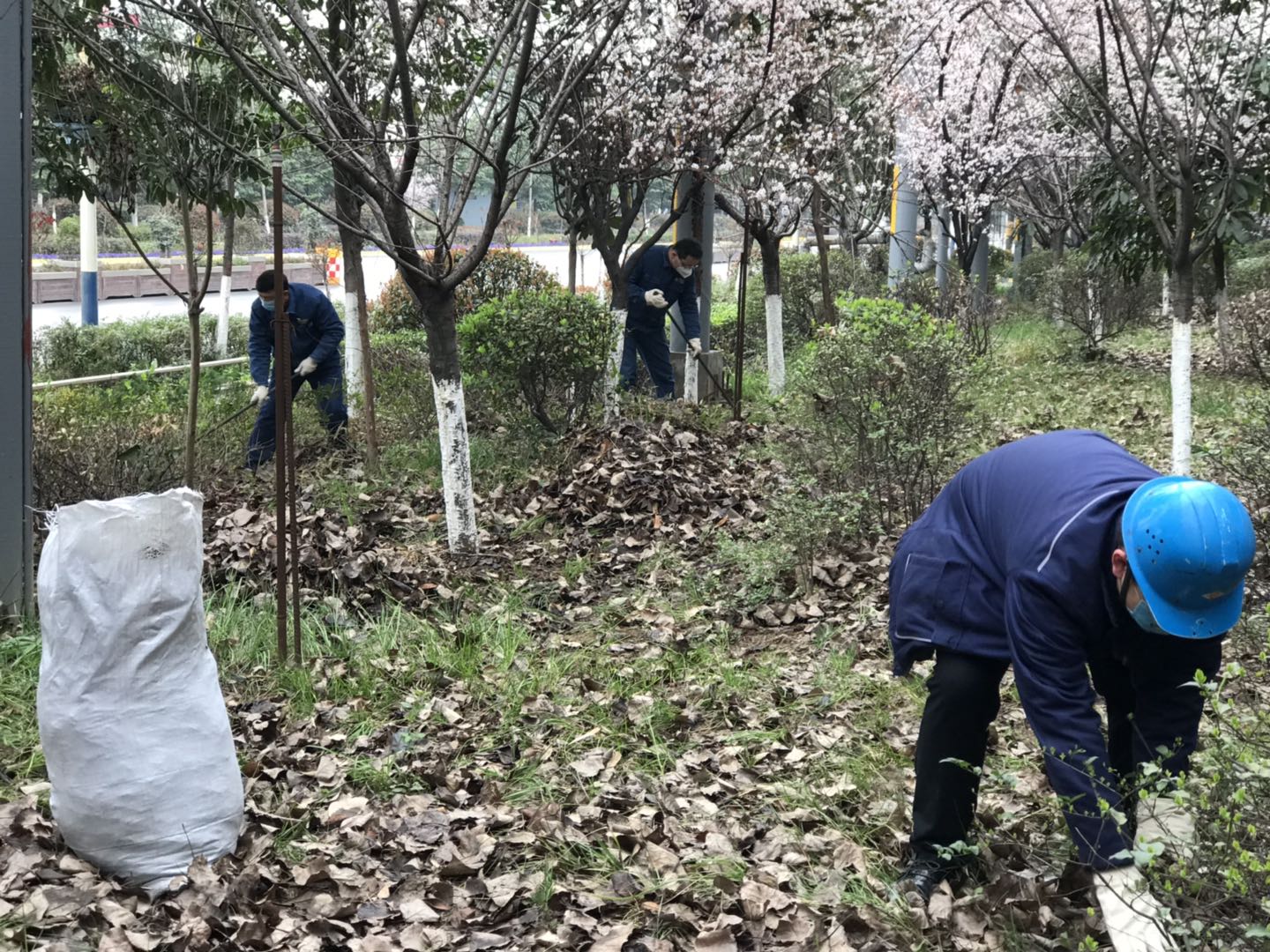 �������h䓡���˾�����G�����������_(k��i)չ�����ݱ