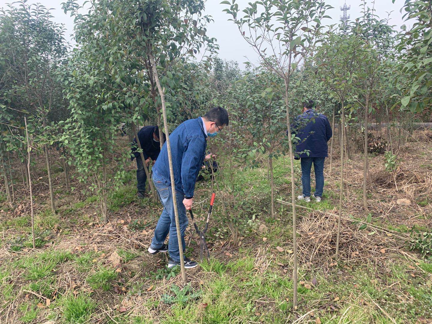 �������h䓡���˾�����G�����������_(k��i)չ�����ݱ