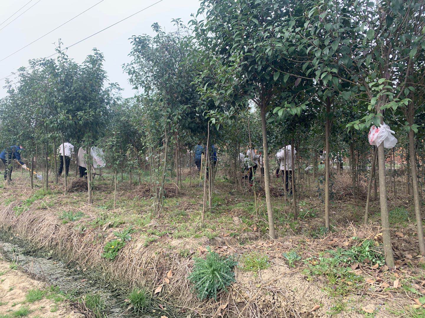 �������h䓡���˾�����G�����������_(k��i)չ�����ݱ