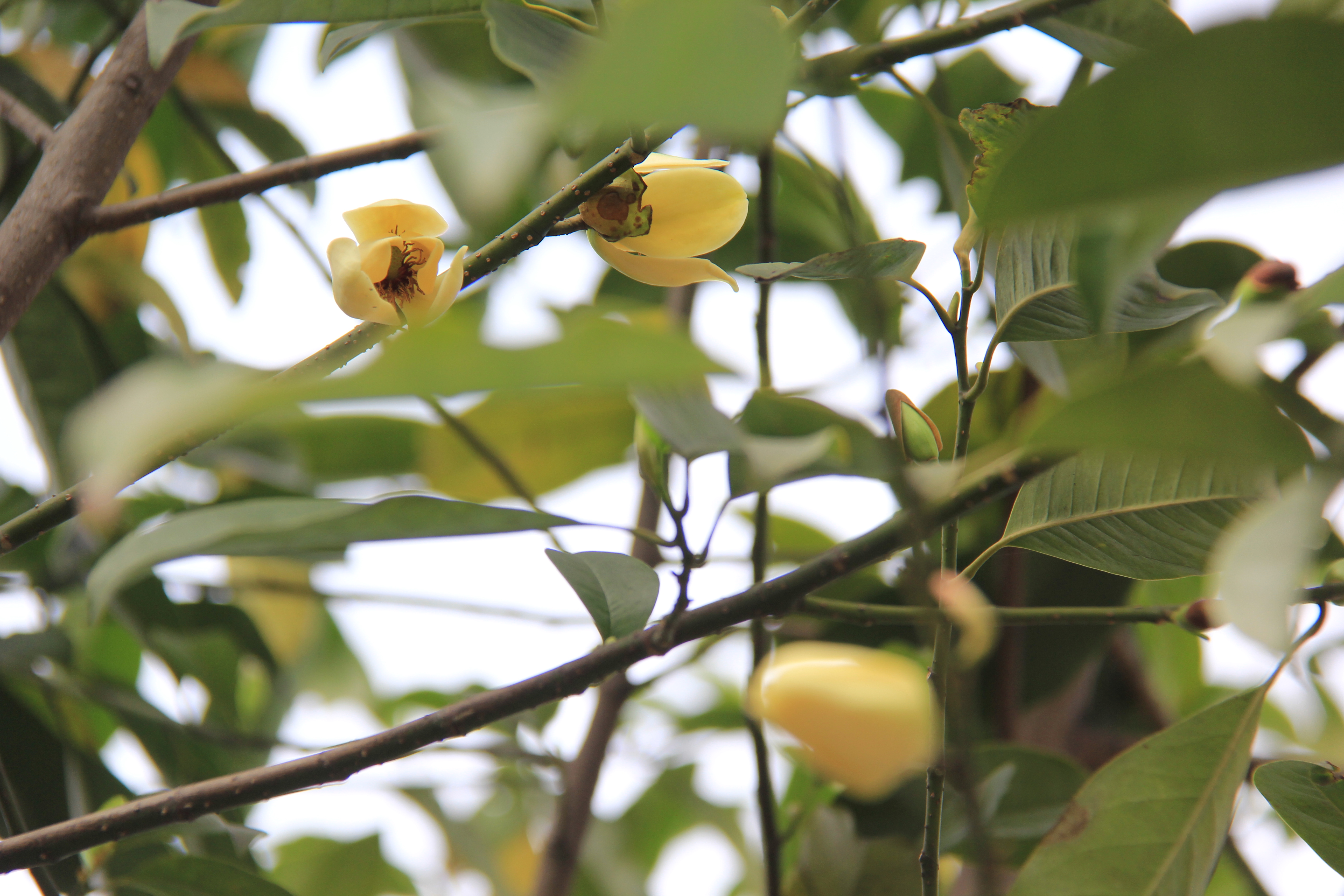 �������h䓡��h�̤���p���D�b