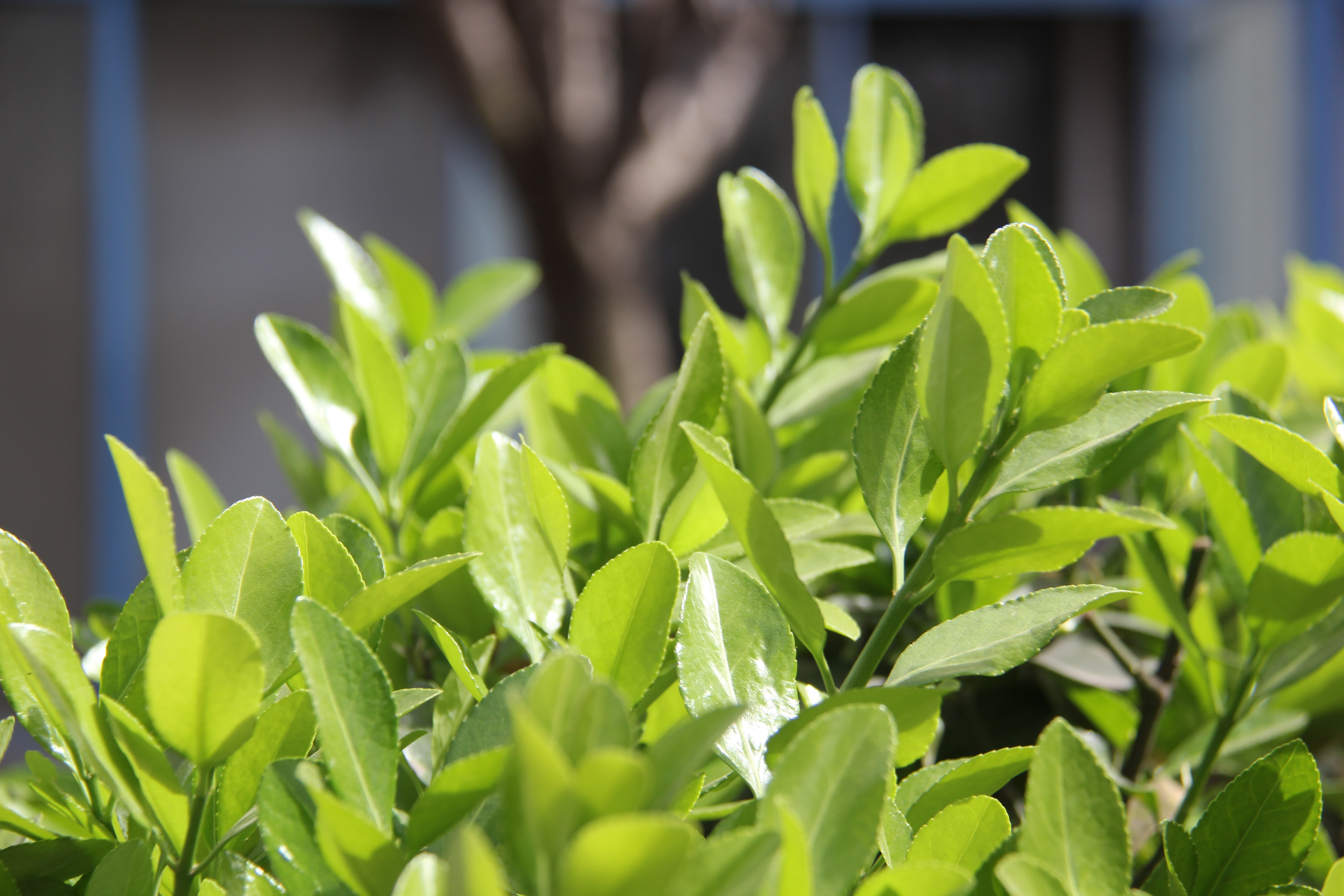 �������h䓡��h�̤���p���D�b