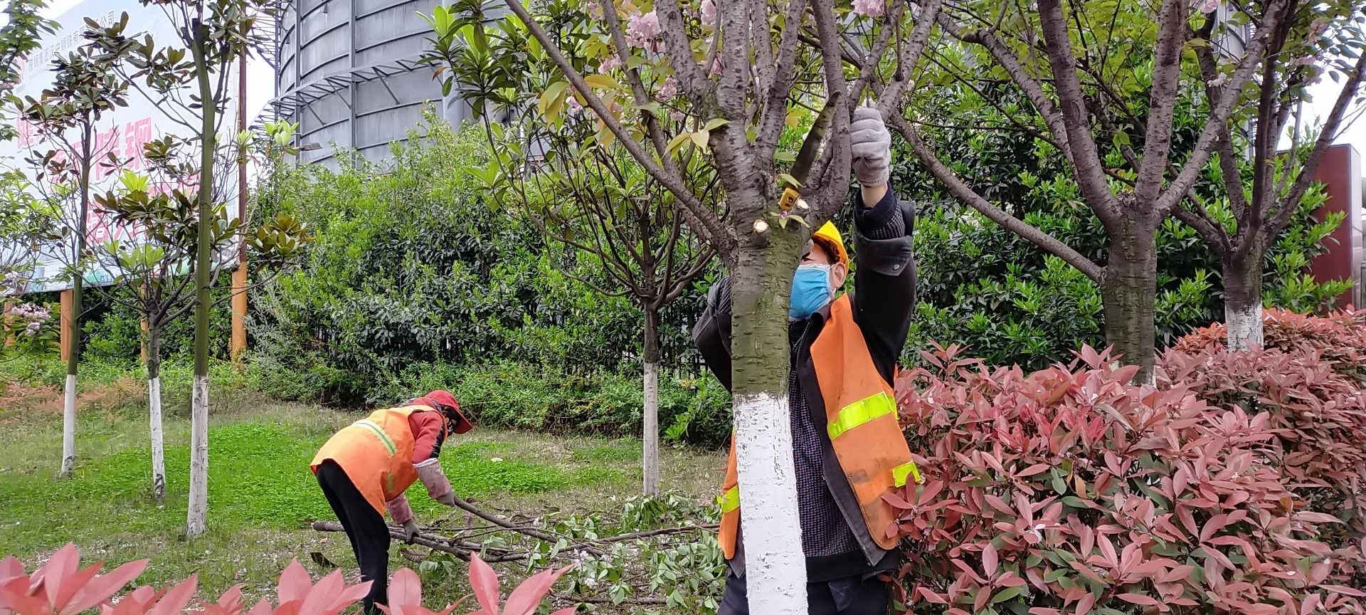 �������h䓡���˾��벢�e ���ô����G����ľ�B(y��ng)�o(h��)����