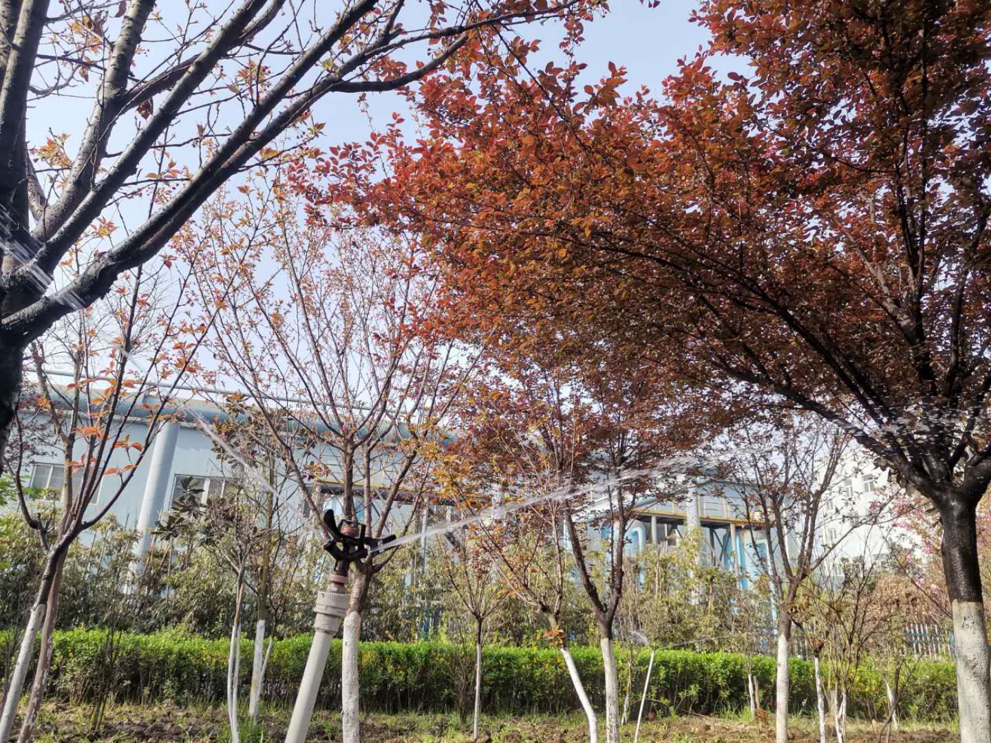 �������h䓡���˾��벢�e ���ô����G����ľ�B(y��ng)�o(h��)����